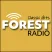 Classic Hits Forest Radio