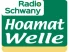 Schwany 3 Die Echte Volksmusik