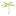 the Oasis Radio Network