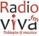 Viva FM -statia Botoșani 106.3 FM
