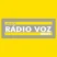 Voz News FM 100.9 MHz ZYN317 (Januária - MG)