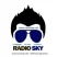 Sky.Net -RadioSky.Net HITS