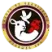 RADIOTELESENTINEL