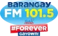 Barangay LS 101.5 Naga