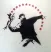 Flower Thrower Radio