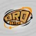 88.1 Oro FM (Tepezalá) - 88.1 FM - XHSCJS-FM - Voces de Tepezalá, Cultura de mi Pueblo, A.C. - Tepezalá, Aguascalientes