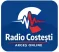 Radio Costesti Arges Online