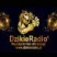 DzikieRadio