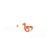 Radio Balkan Romania