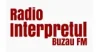 Interpretul Buzău FM -Buzău