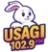 Usagi FM 102.9 (Puebla)