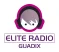 Elite Radio Guadix