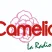 Radio Camelia 93.5 - CPR Presencia