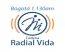 Vida