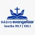 Rádio Evangelizar Família 
