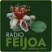 Radio Feijoa