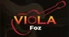 Viola FM 91.7 Foz