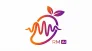 Radio Mango AI