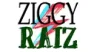 Rádio Ziggy - Raiz (MP3)